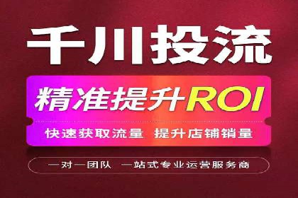 百度SEO推广策略全解析：某企业从零到一的成长历程